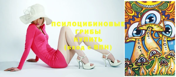 гидропоника Аркадак